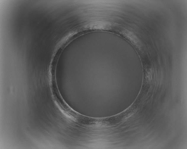 X0000070380678200606091126