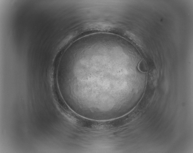 X0000070380679200606091126