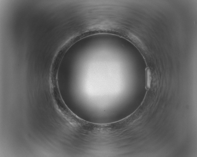 X0000070380680200606091126