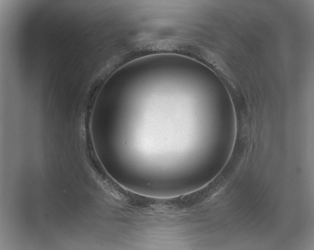 X0000070380681200606091126