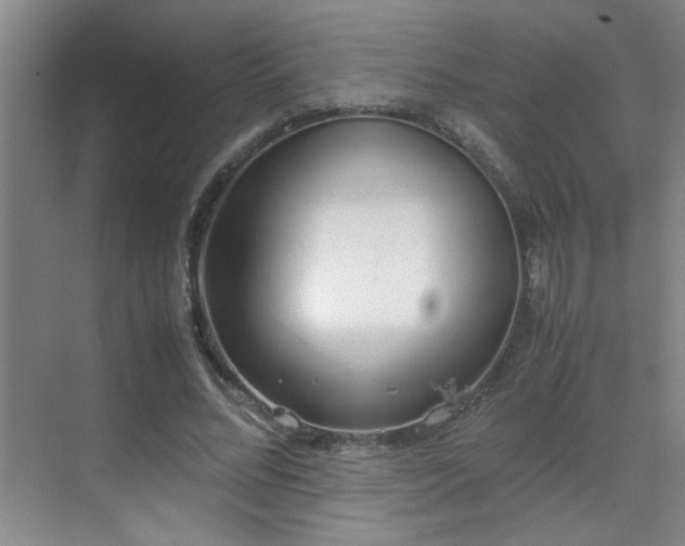 X0000070380684200606091126