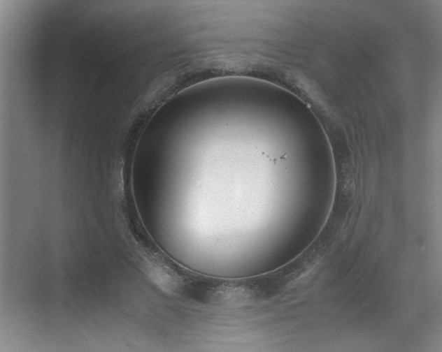 X0000070380685200606091126