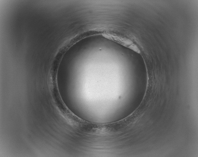 X0000070380688200606091126