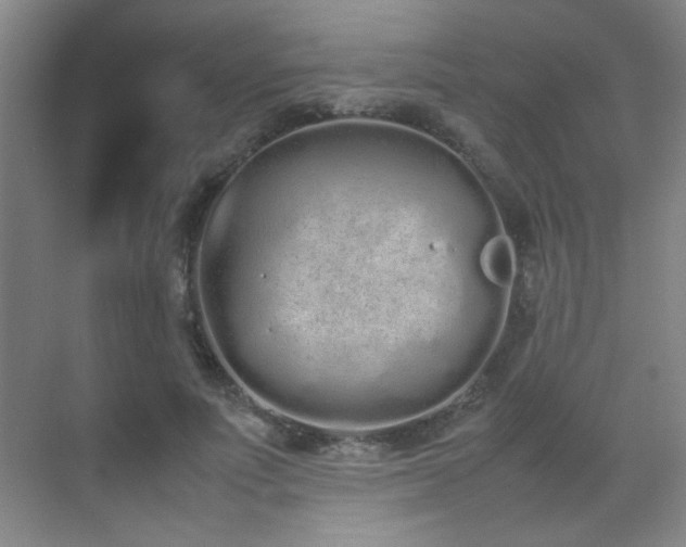 X0000070380691200606091126