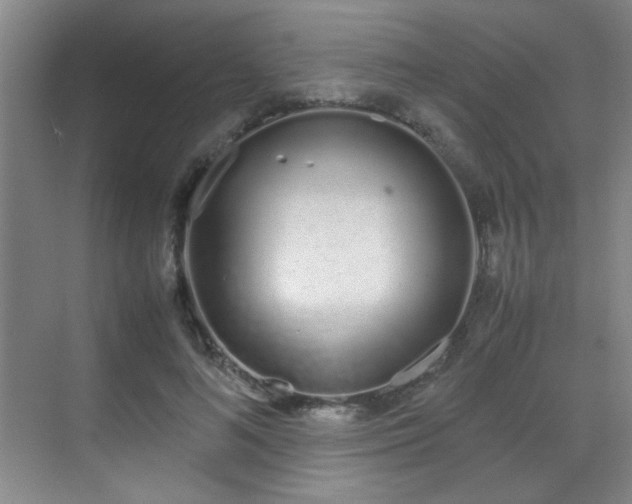 X0000070380692200606091126