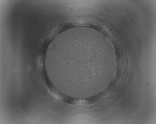 X0000070380695200606091126