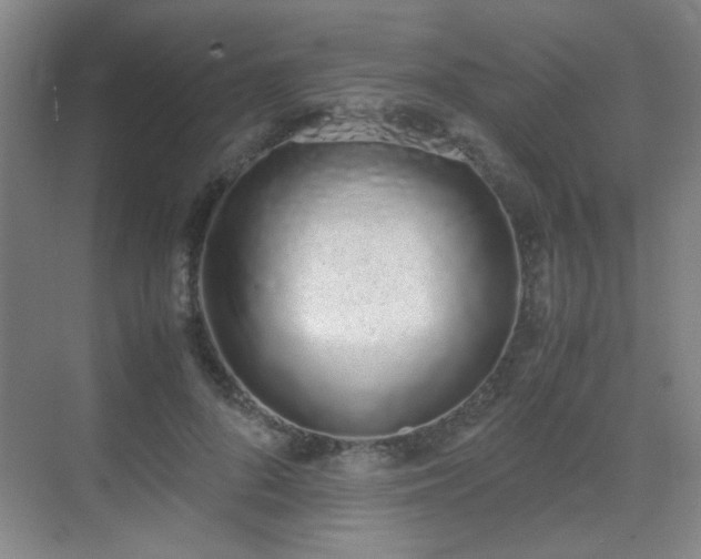 X0000070380696200606091126