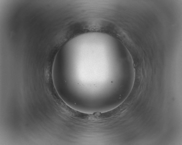 X0000070380697200606091125