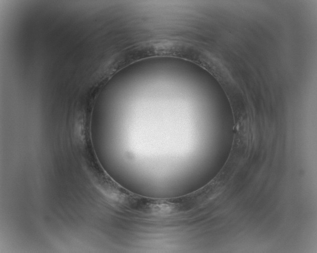 X0000070380698200606091125