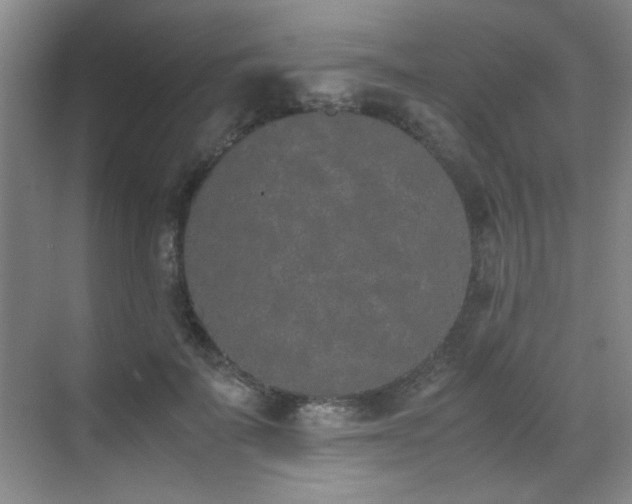 X0000070380699200606091125