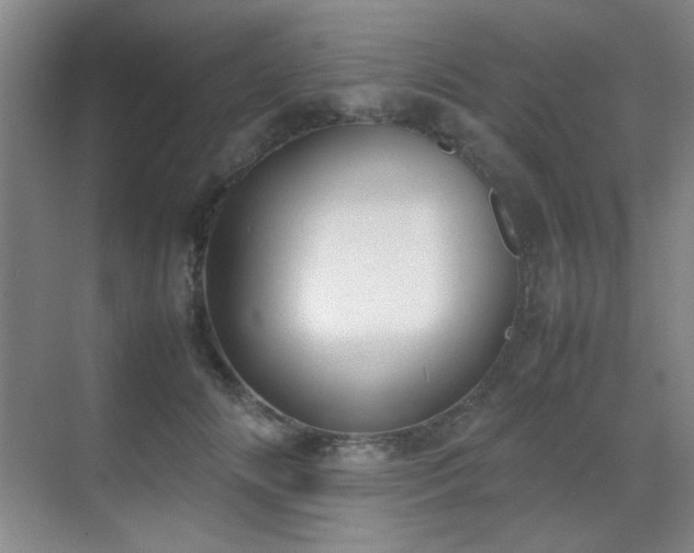 X0000070380702200606091125