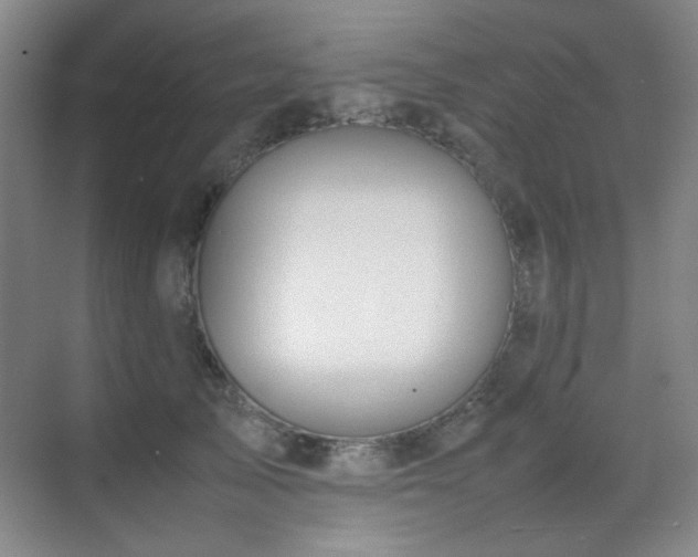 X0000070380705200606091125