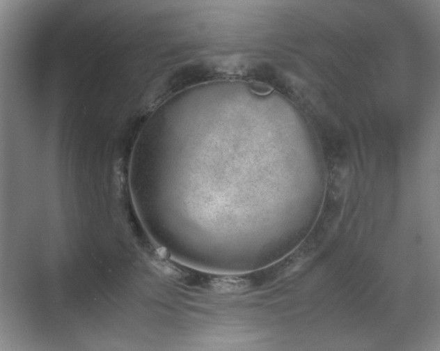 X0000070380707200606091125