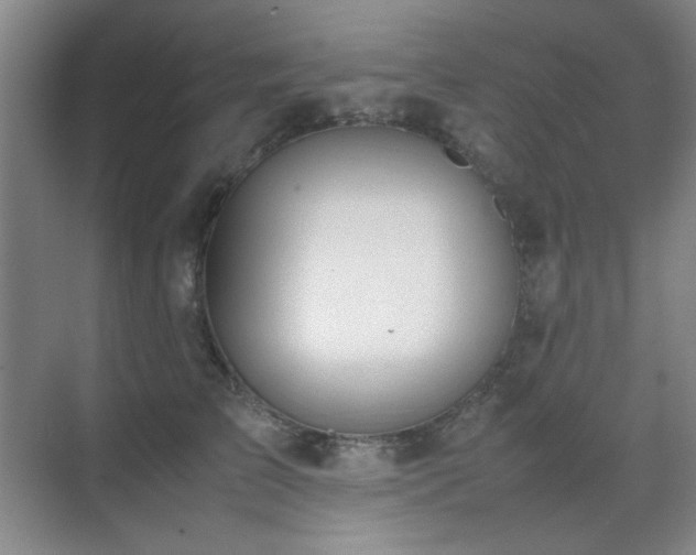 X0000070380709200606091125