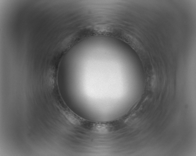 X0000070380710200606091125