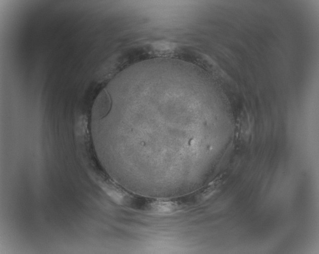 X0000070380711200606091125