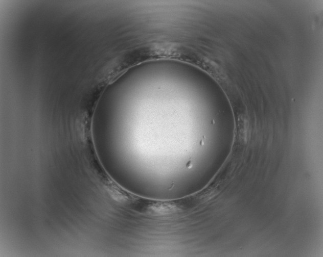 X0000070380712200606091125