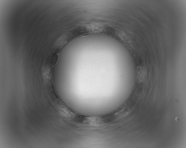 X0000070380713200606091125