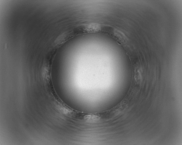 X0000070380714200606091125