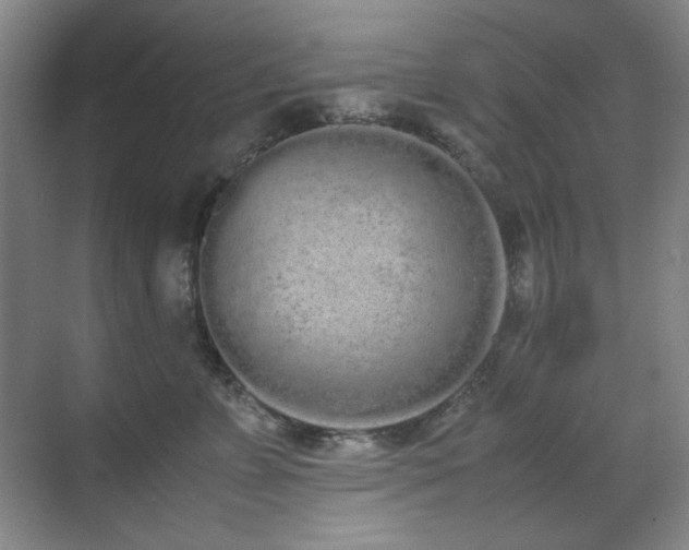 X0000070380715200606091125