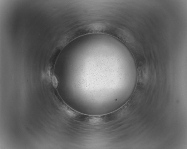 X0000070380718200606091125