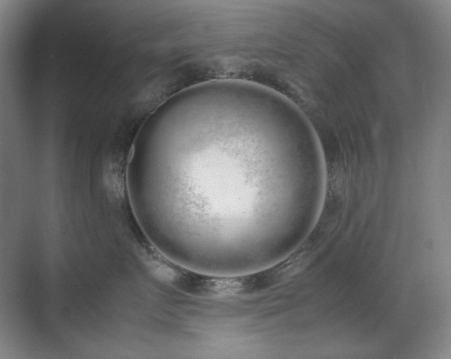 X0000070380719200606091125