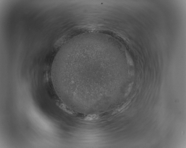 X0000070380720200606091125