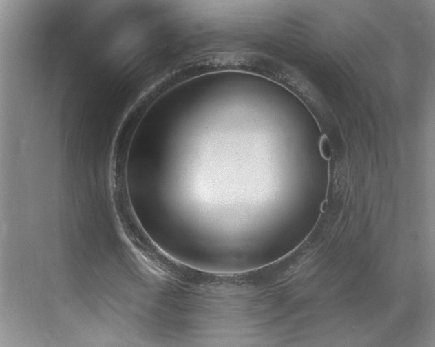 X0000070380722200606091124