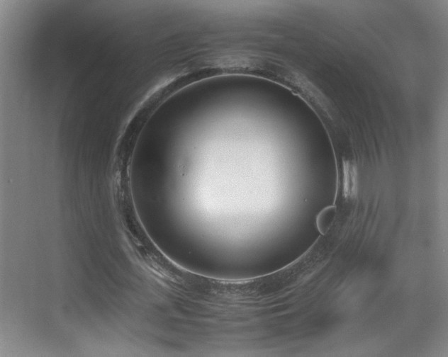 X0000070380723200606091124