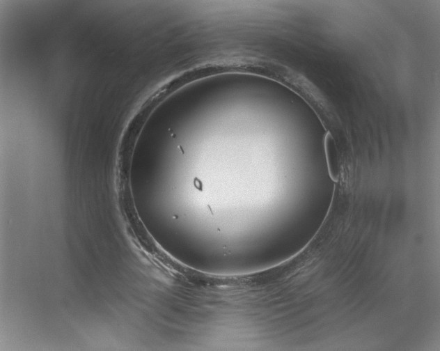 X0000070380724200606091124