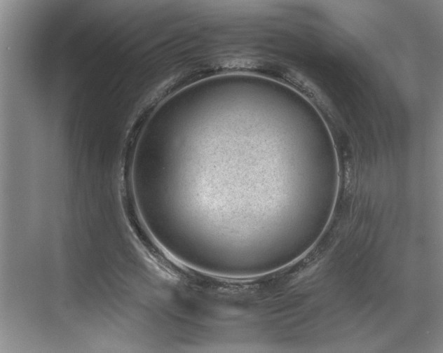 X0000070380725200606091124