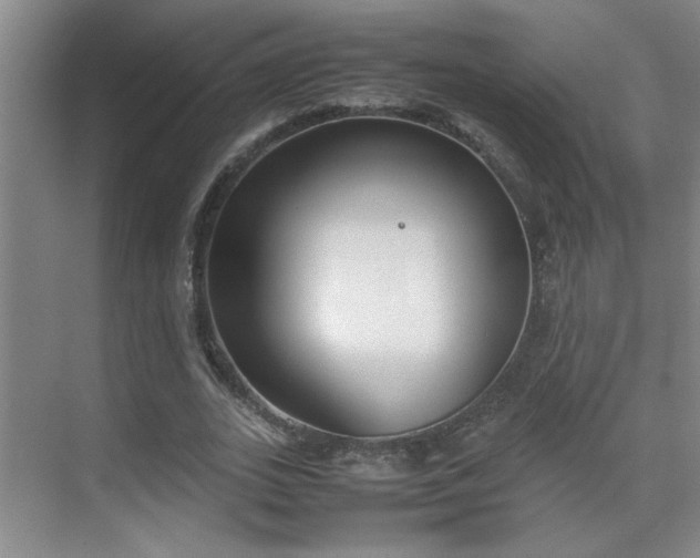 X0000070380727200606091124