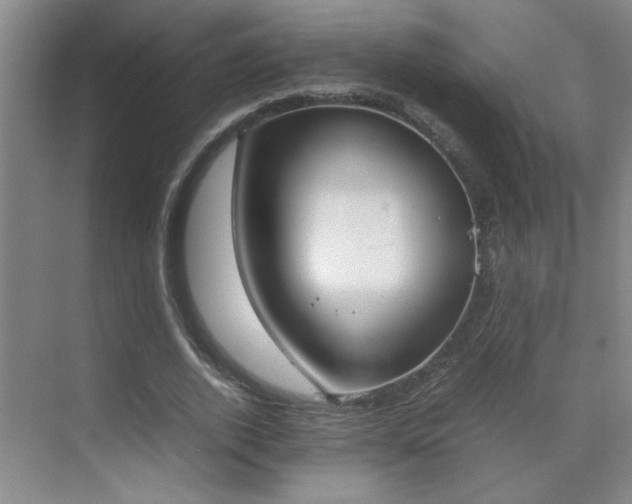 X0000070380728200606091124