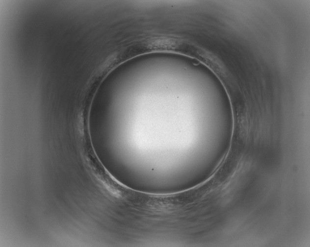 X0000070380729200606091124