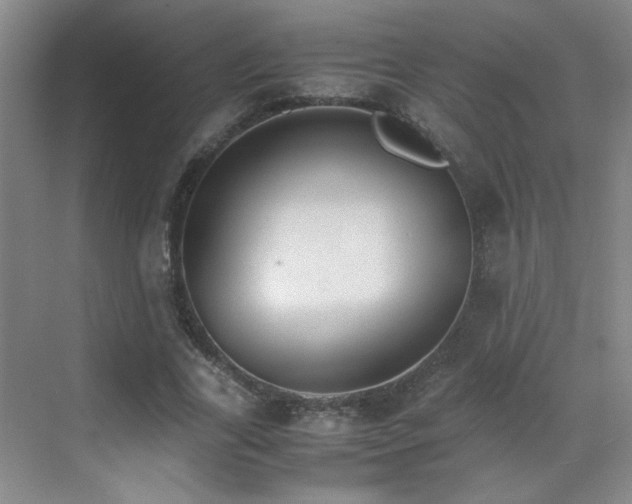 X0000070380731200606091124