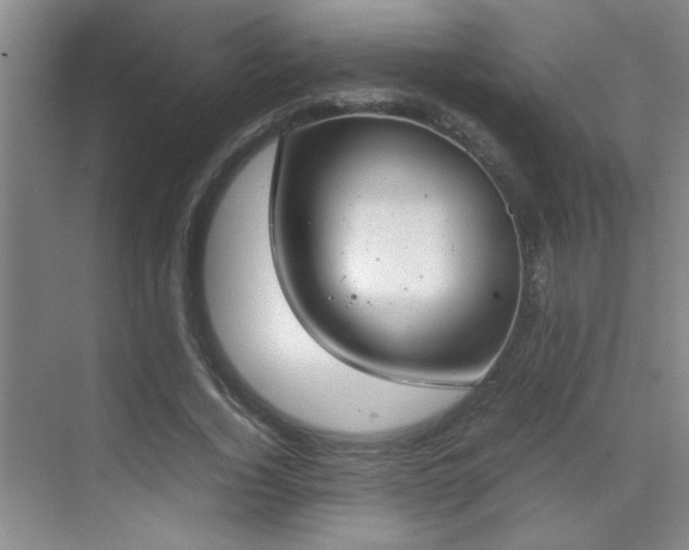 X0000070380732200606091124