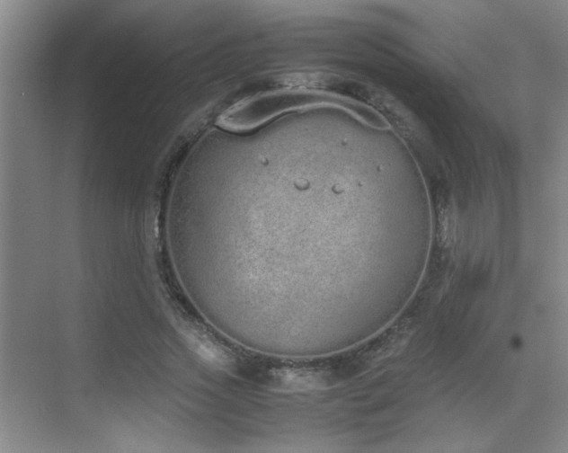 X0000070380733200606091125