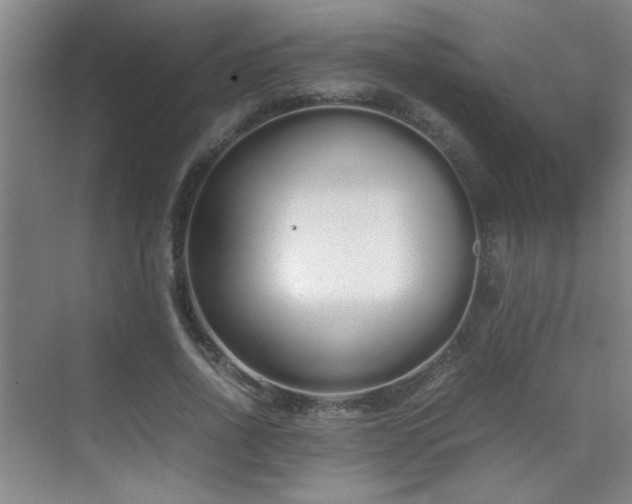 X0000070380734200606091125