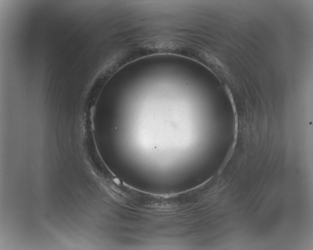 X0000070380735200606091125