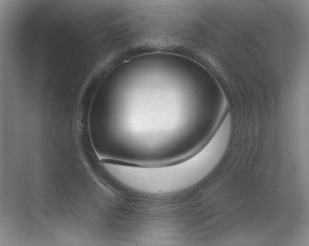 X0000070380736200606091125