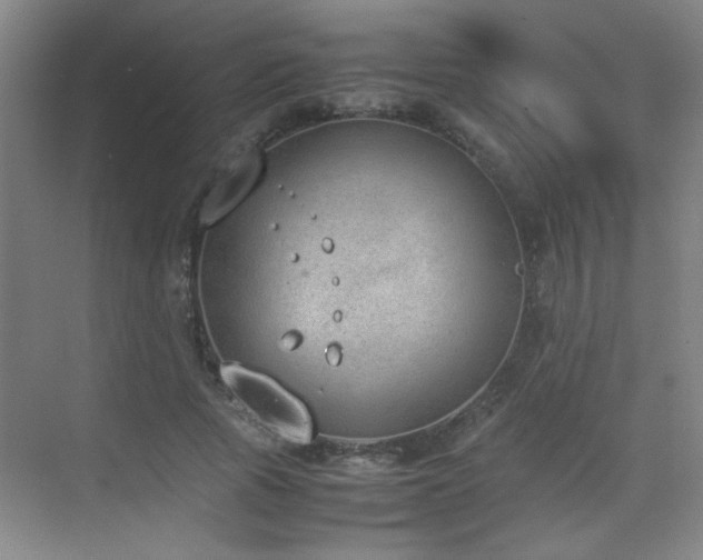 X0000070380737200606091125