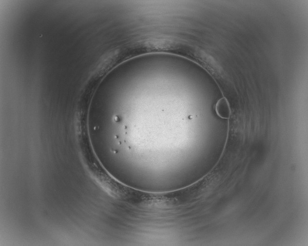 X0000070380738200606091125