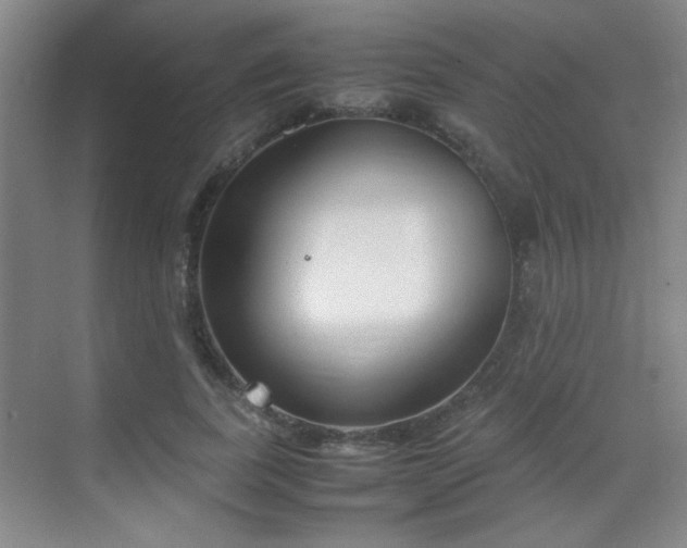 X0000070380739200606091125