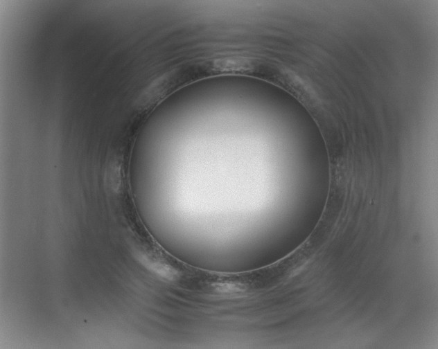 X0000070380741200606091125