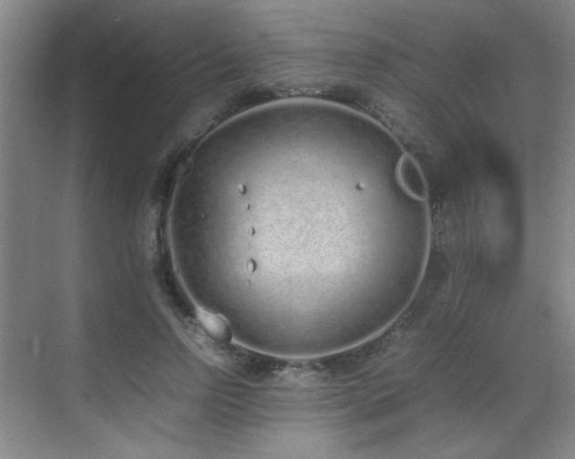 X0000070380742200606091125