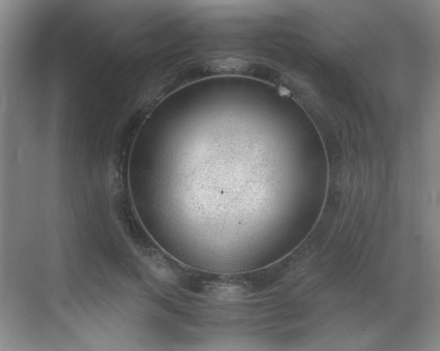 X0000070380743200606091125