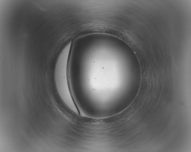 X0000070380744200606091125