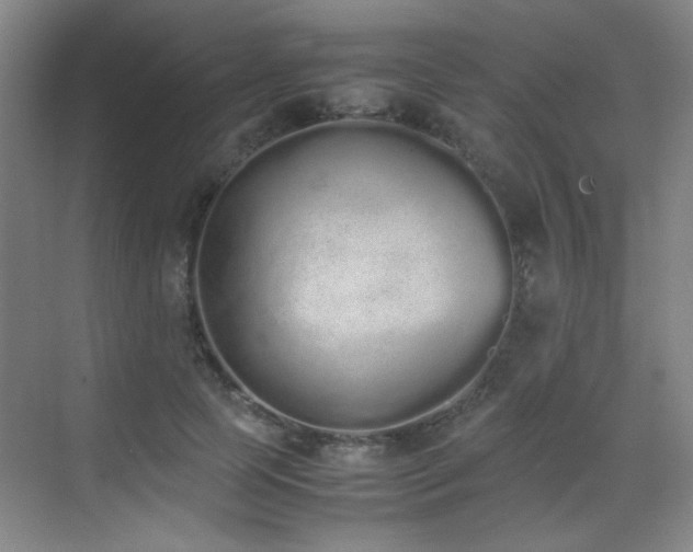 X0000070380745200606091125