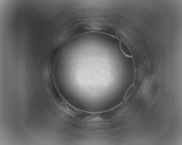 X0000070380747200606091125