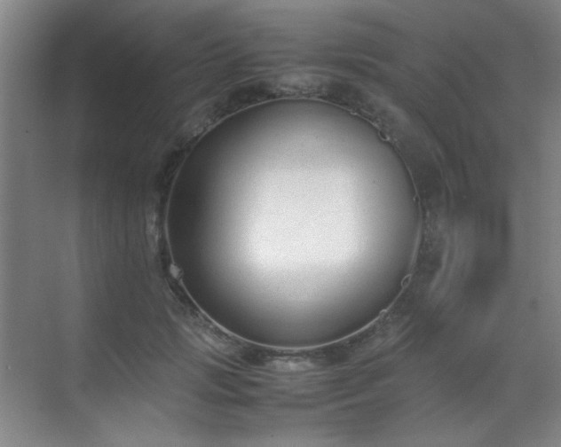 X0000070380749200606091125